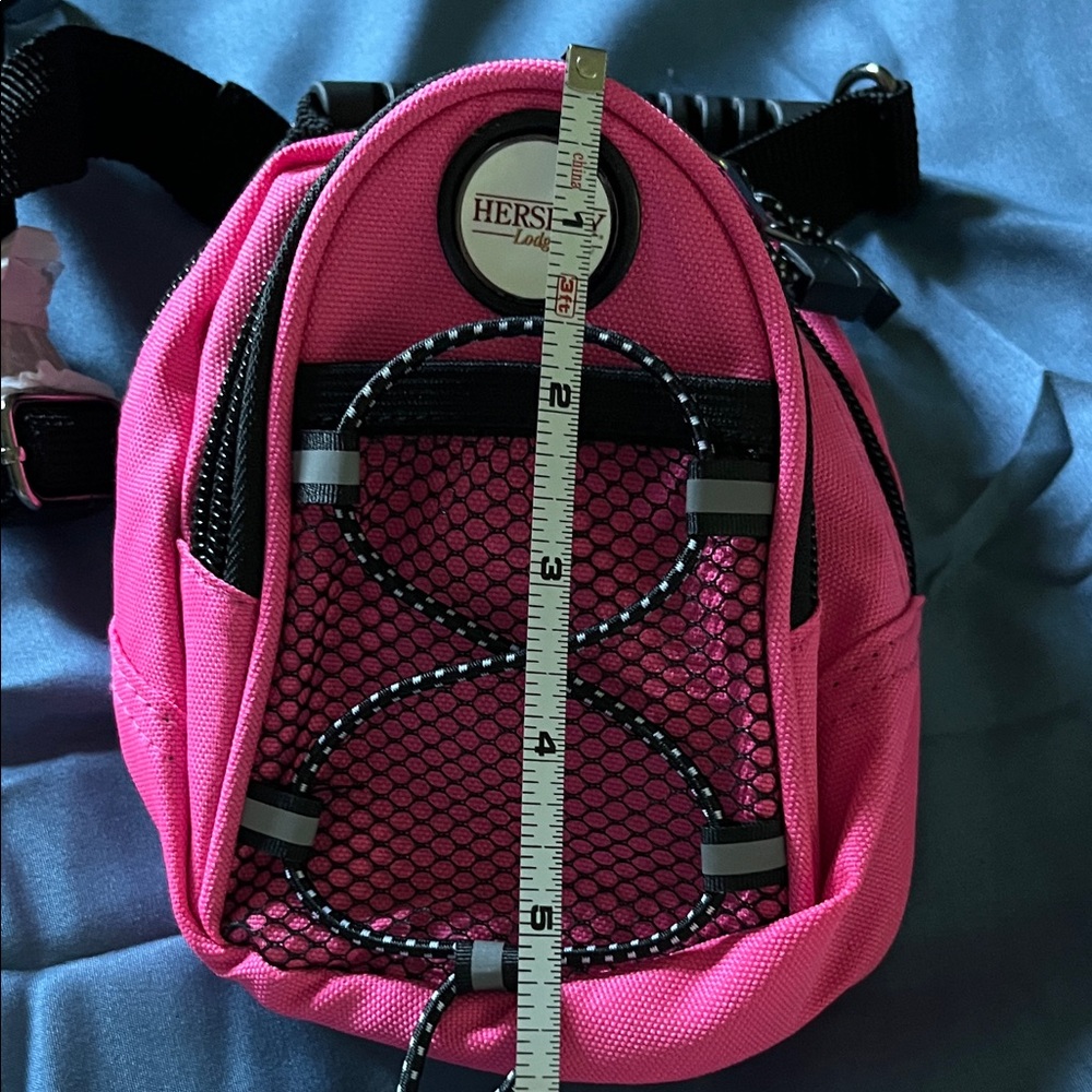 Pink Mini Backpack - Picture 2 of 5